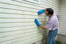 Affordable Siding Repair and Maintenance Services in West Baraboo, WI